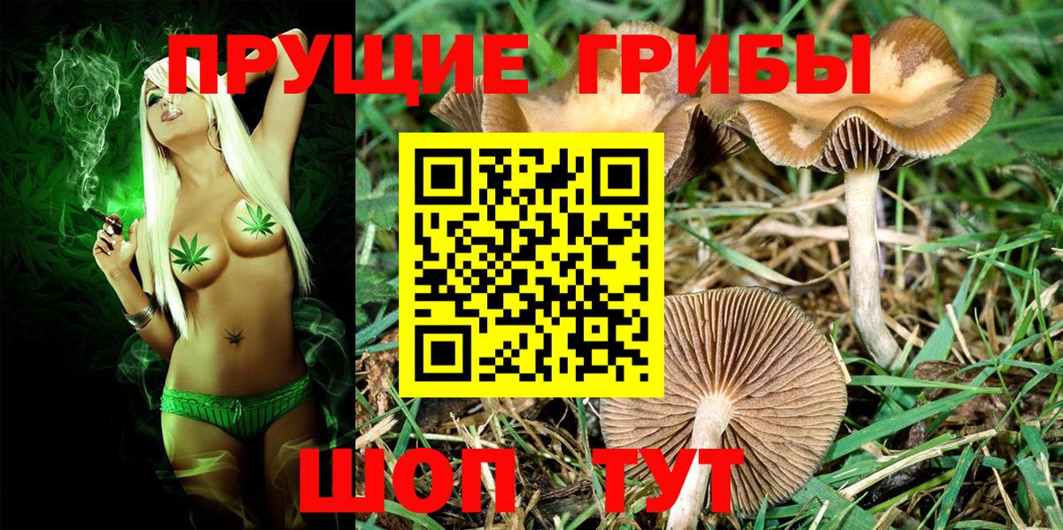 Галлюциногенные грибы Cubensis Сухой Лог